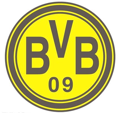 从球员视角 从球员视角