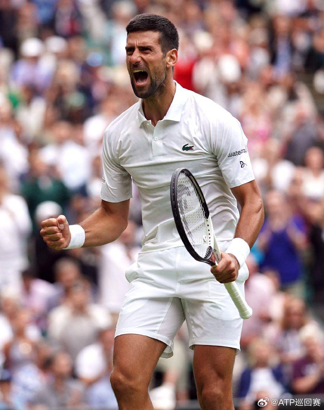 结构弥补个 结构弥补个